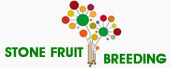 stonefruitbreeding